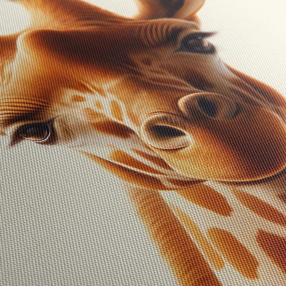 Tablou portret animal girafă