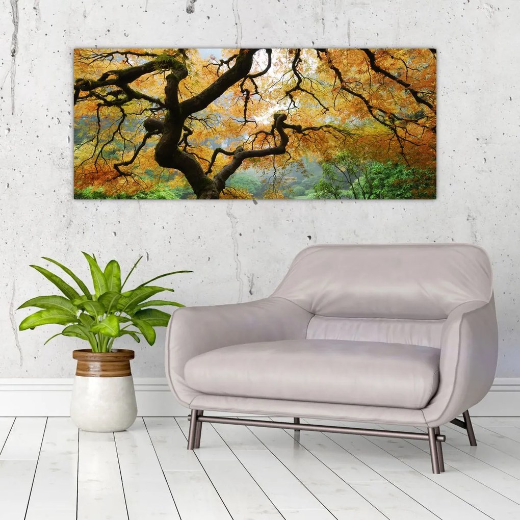 Tablou - Arțarul japonez galben, Portland, Oregon (120x50 cm)