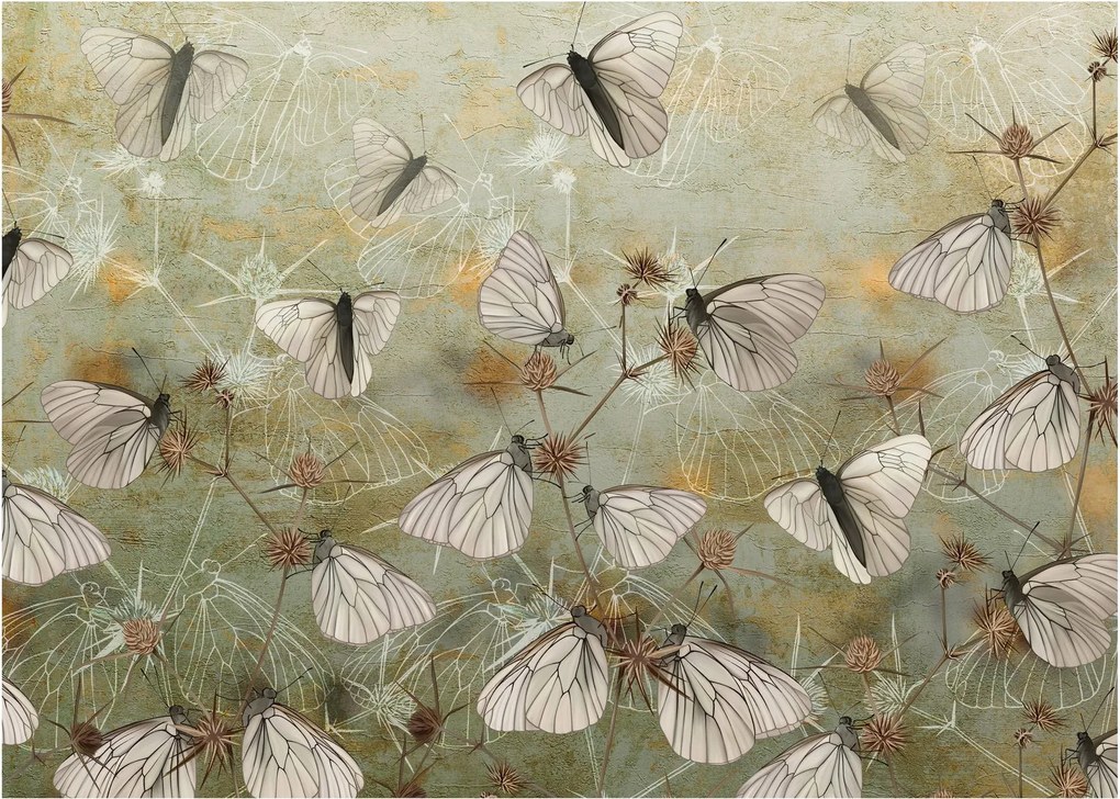 Tablou - Vintege fluturi (70x50 cm)