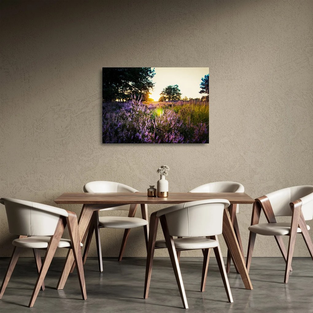 Tablou pe sticlă - Câmp cu lavandă (70x50 cm)