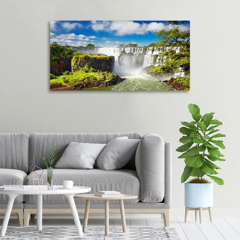 Print pe pânză Cascada argentina