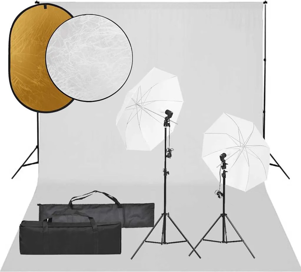 vidaXL Set studio foto cu set de lumini, fundal și reflector
