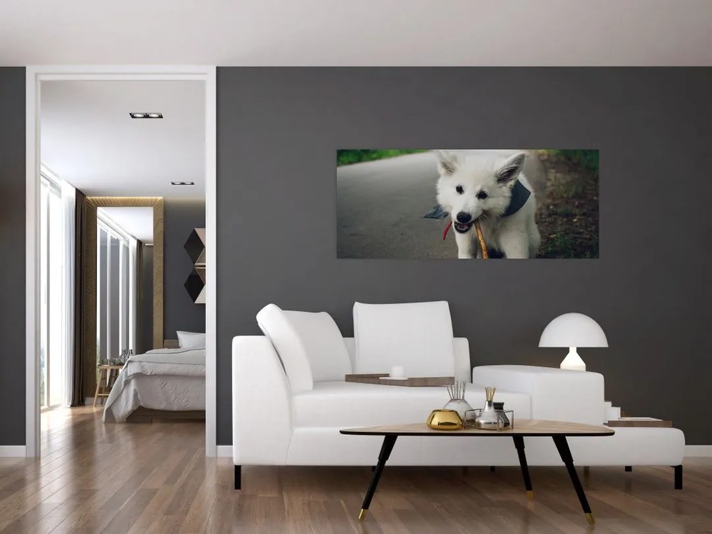 Tablou cu câinele alb (120x50 cm)