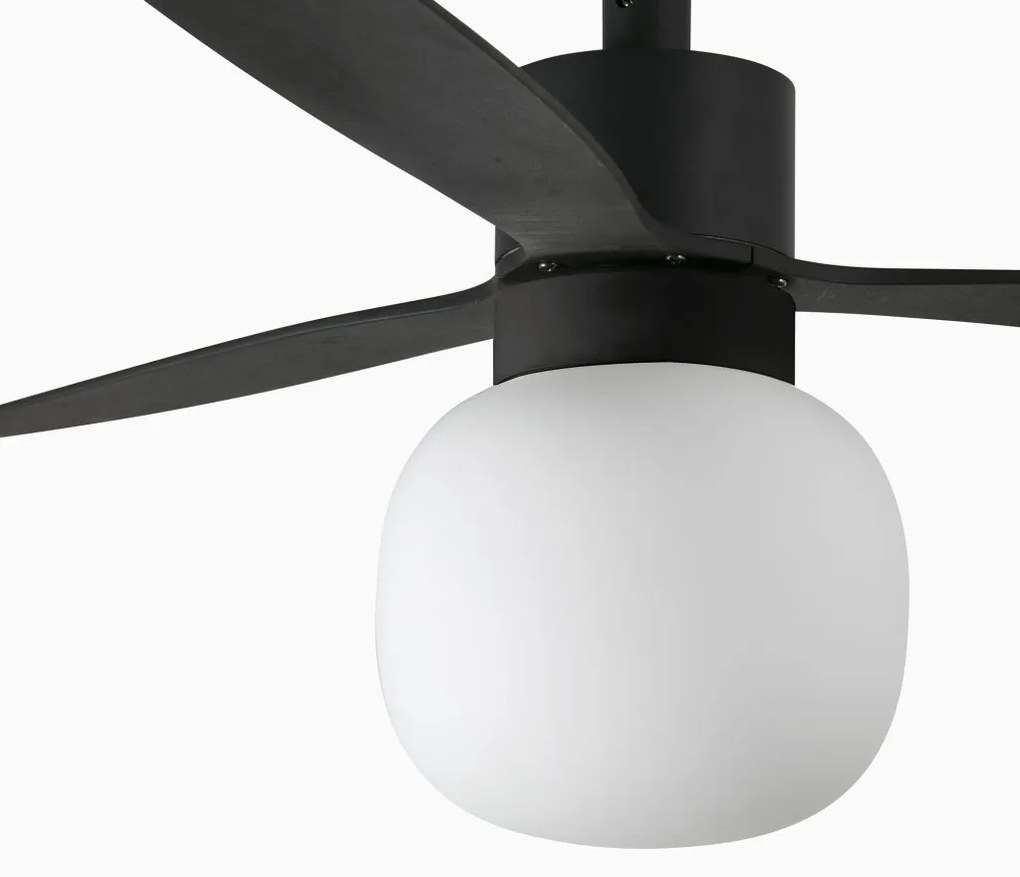 Lustra cu Ventilator si telecomanda AMELIA L BALL LED negru
