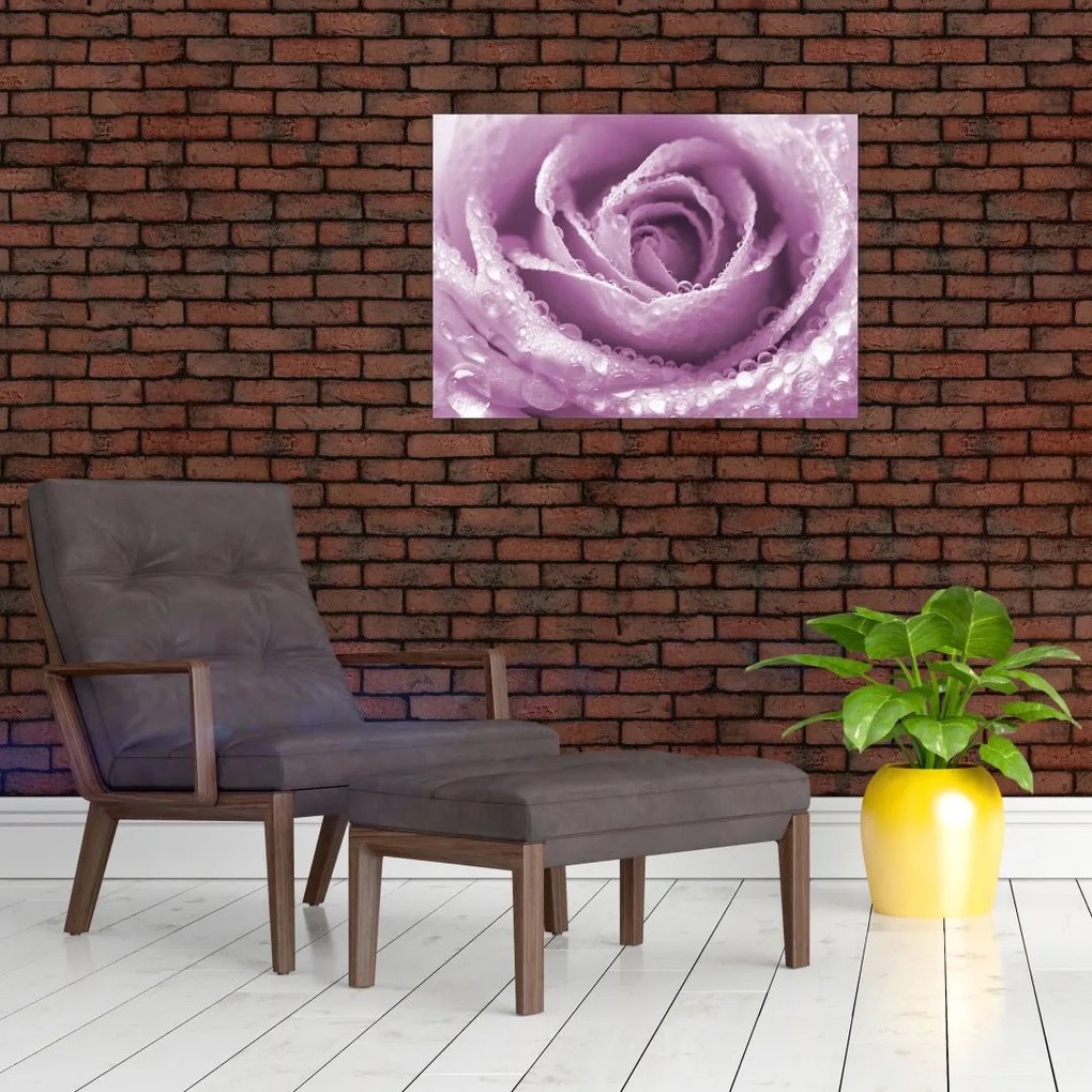 Tablou pe sticlă detaliu de floare de trandafir (70x50 cm)