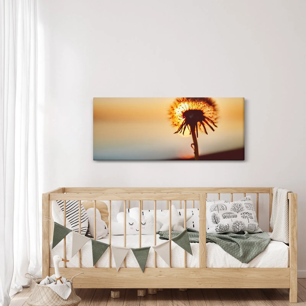 Tablou - Păpădie la apus de soare (120x50 cm)