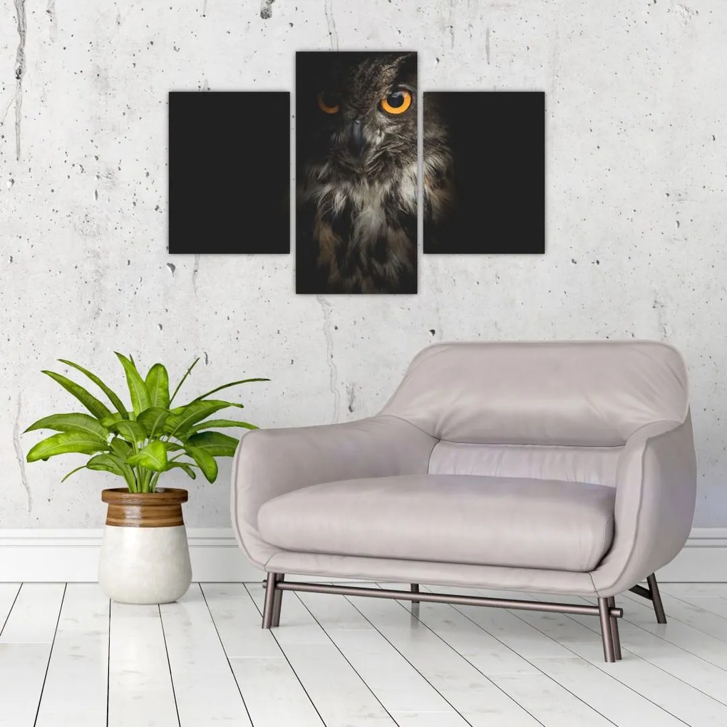 Tablou cu bufnița (90x60 cm)