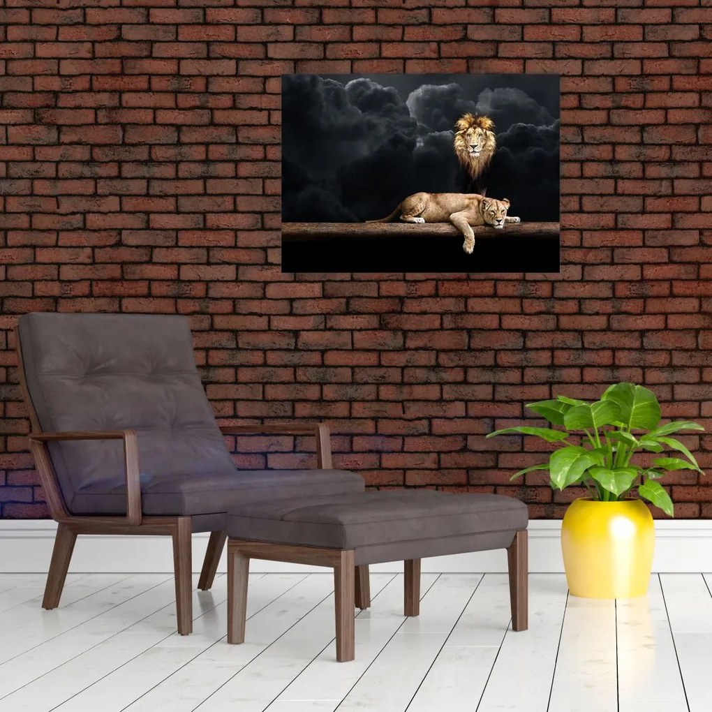 Tablou - Leu și leoaică (70x50 cm)