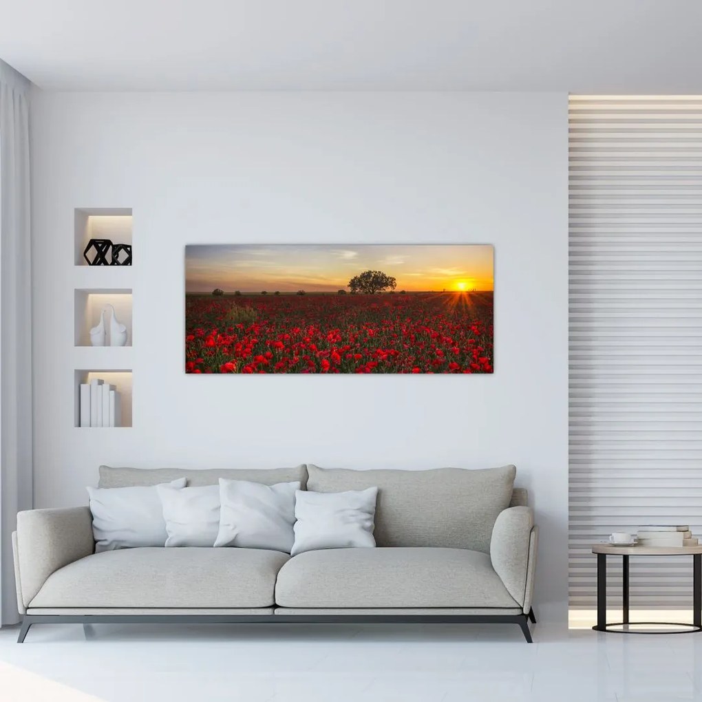 Tablou cu lunca și macii (120x50 cm)