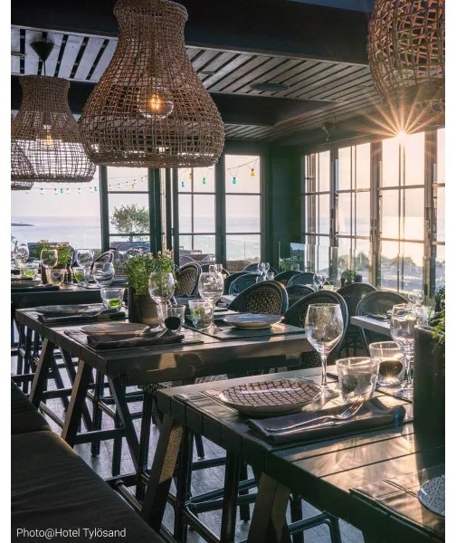 Lustră pe cablu ByRydens 4200010-5507 SEAGRASS 1xE27/8W/230V