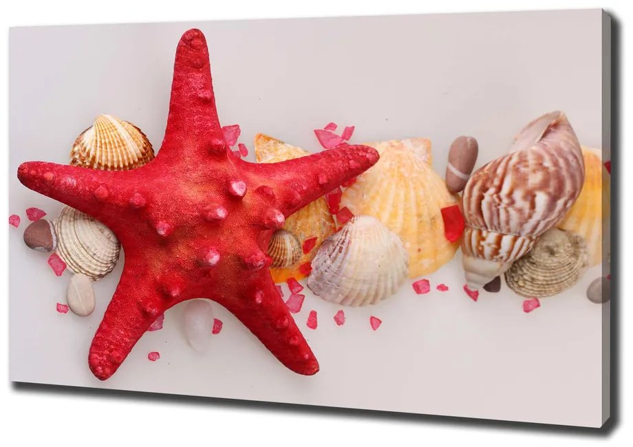 Tablou canvas Starfish și scoici