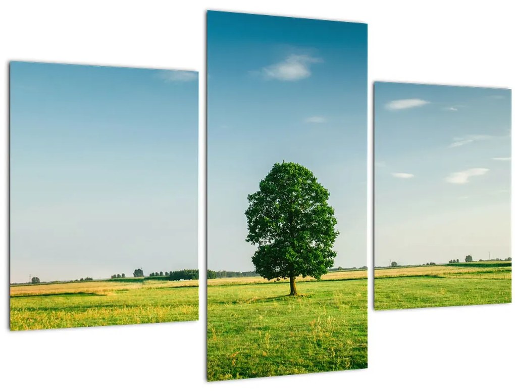 Tablu - Copac în luncă (90x60 cm)