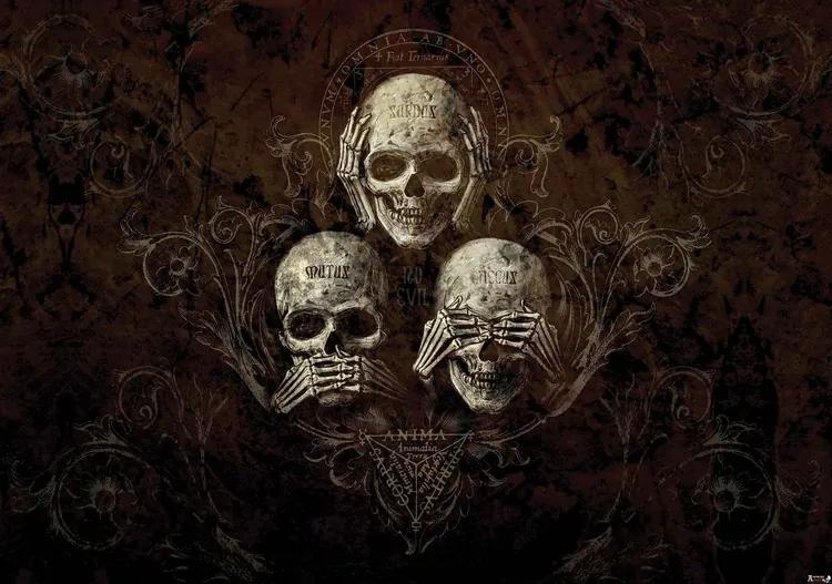 No Listen See Speak Skull Alchemy Fototapet, (312 x 219 cm)