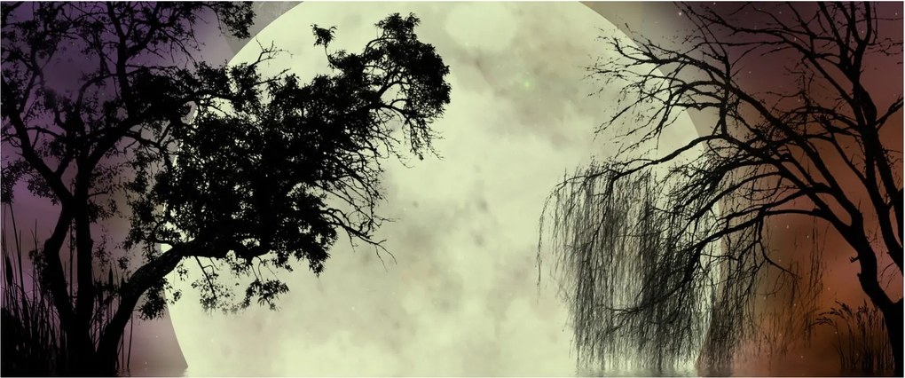 Tablou - Lună plină deasupra apei (120x50 cm)