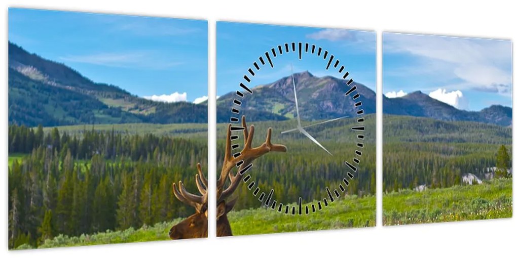 Tablou - Cerb în luncă (cu ceas) (90x30 cm)