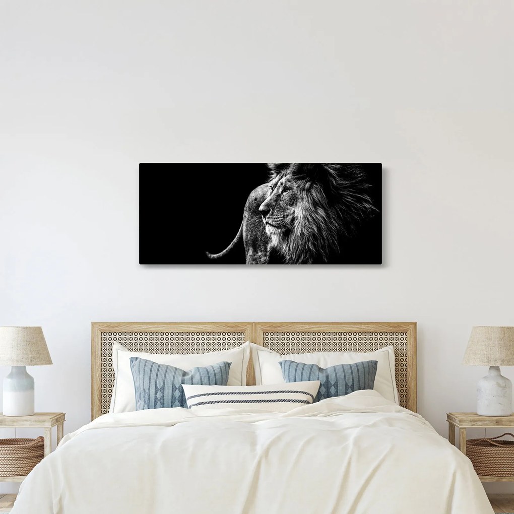 Tablou - Leu, alb și negru (120x50 cm)