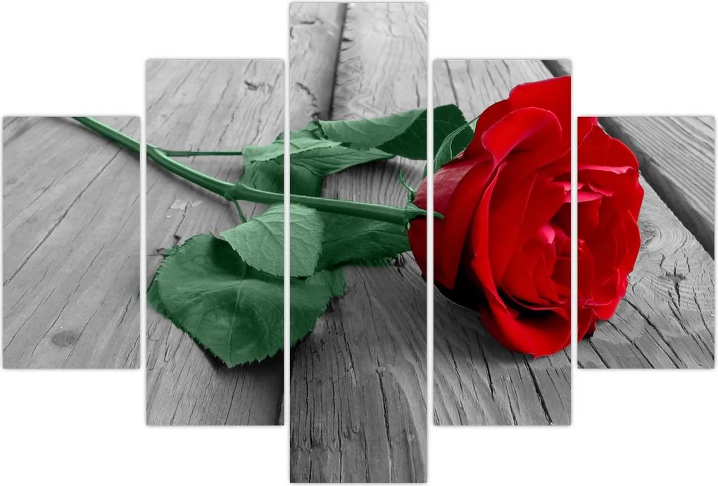 Tablou - Trandafir roșu cu tulpină verde (150x105 cm)