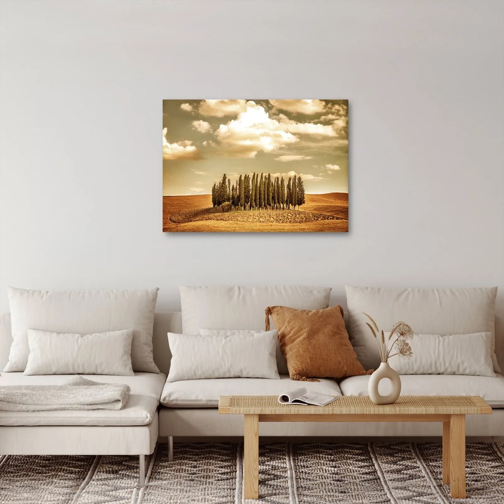 Tablou cu luncă (70x50 cm)