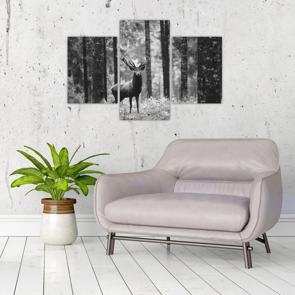 Tablou - Căprioare in pădure 2,alb-negru (90x60 cm)