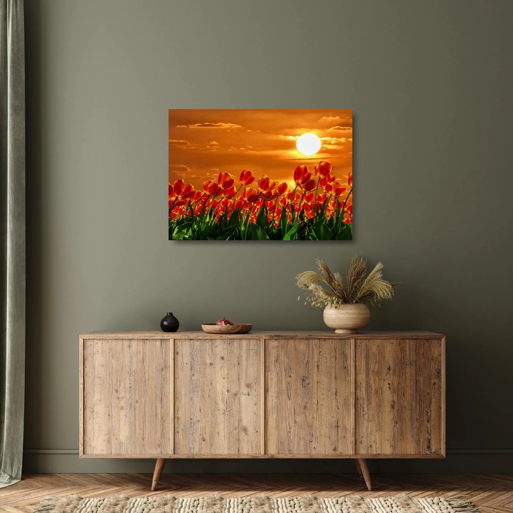 Tablou pe sticlă - lan înflorit de lalele (70x50 cm)