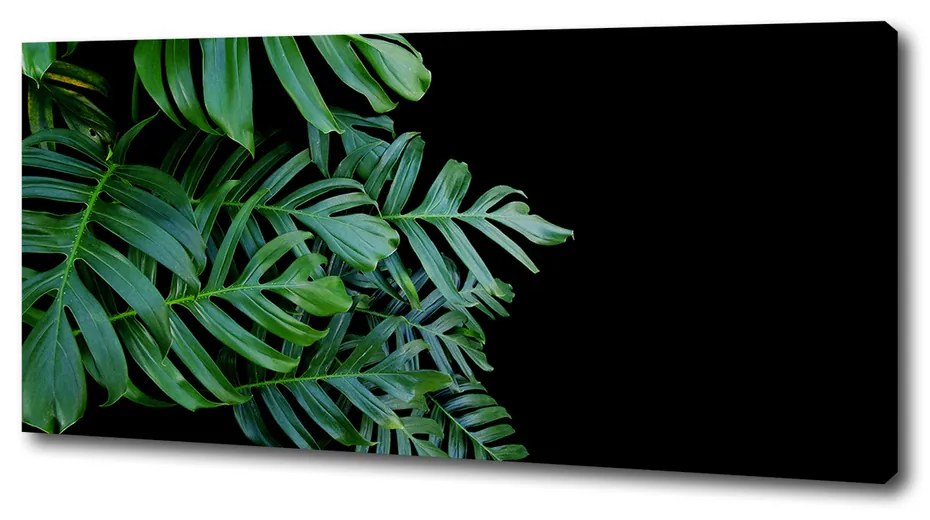 Print pe canvas Monstera