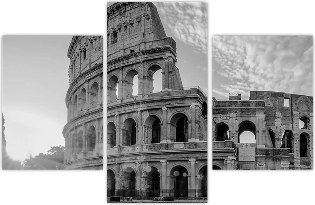Tablou - Colosseum din Roma, alb-negru (90x60 cm)