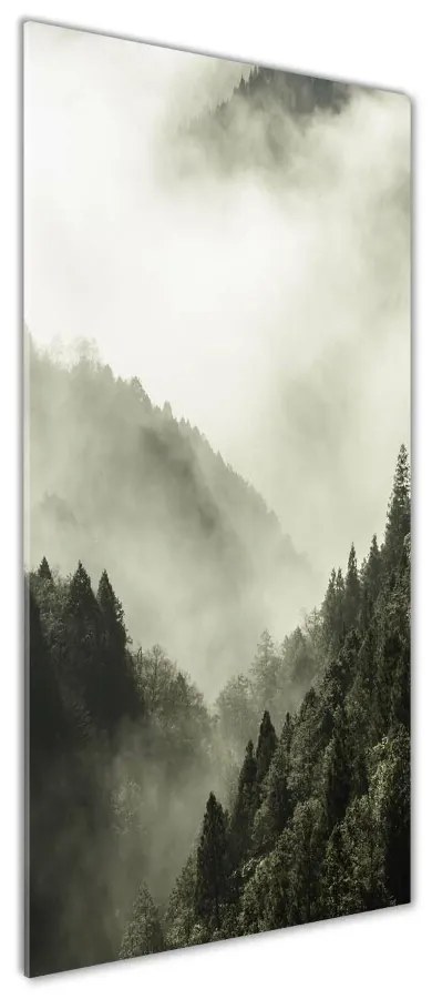 Tablou sticlă Ceață peste pădure