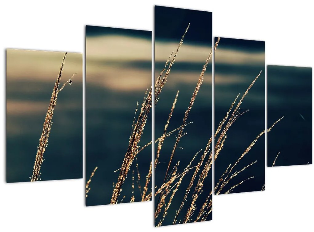 Tablou cu ierburi (150x105 cm)