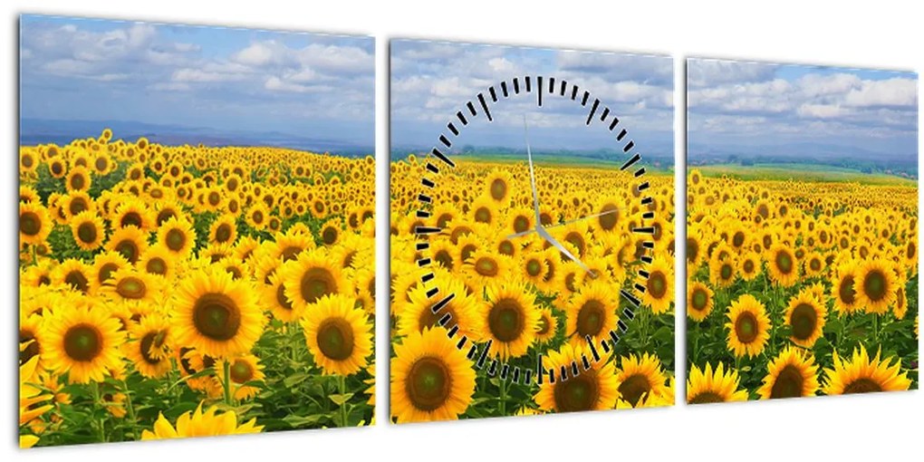 Tablou cu lan de floarea soarelui (cu ceas) (90x30 cm)
