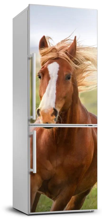 Autocolant pe frigider Un cal în galop