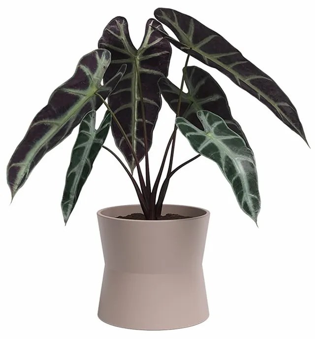 Ghiveci din ceramică ø 14 cm Diana – Artevasi