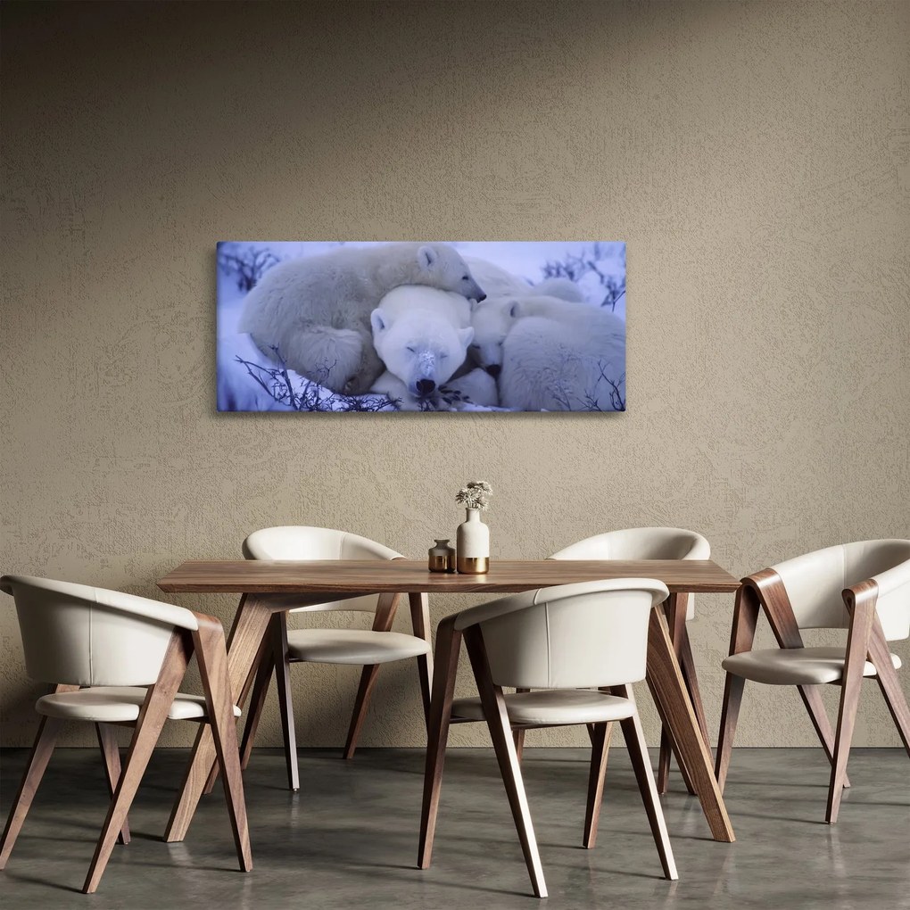 Tablou - Urși polari (120x50 cm)