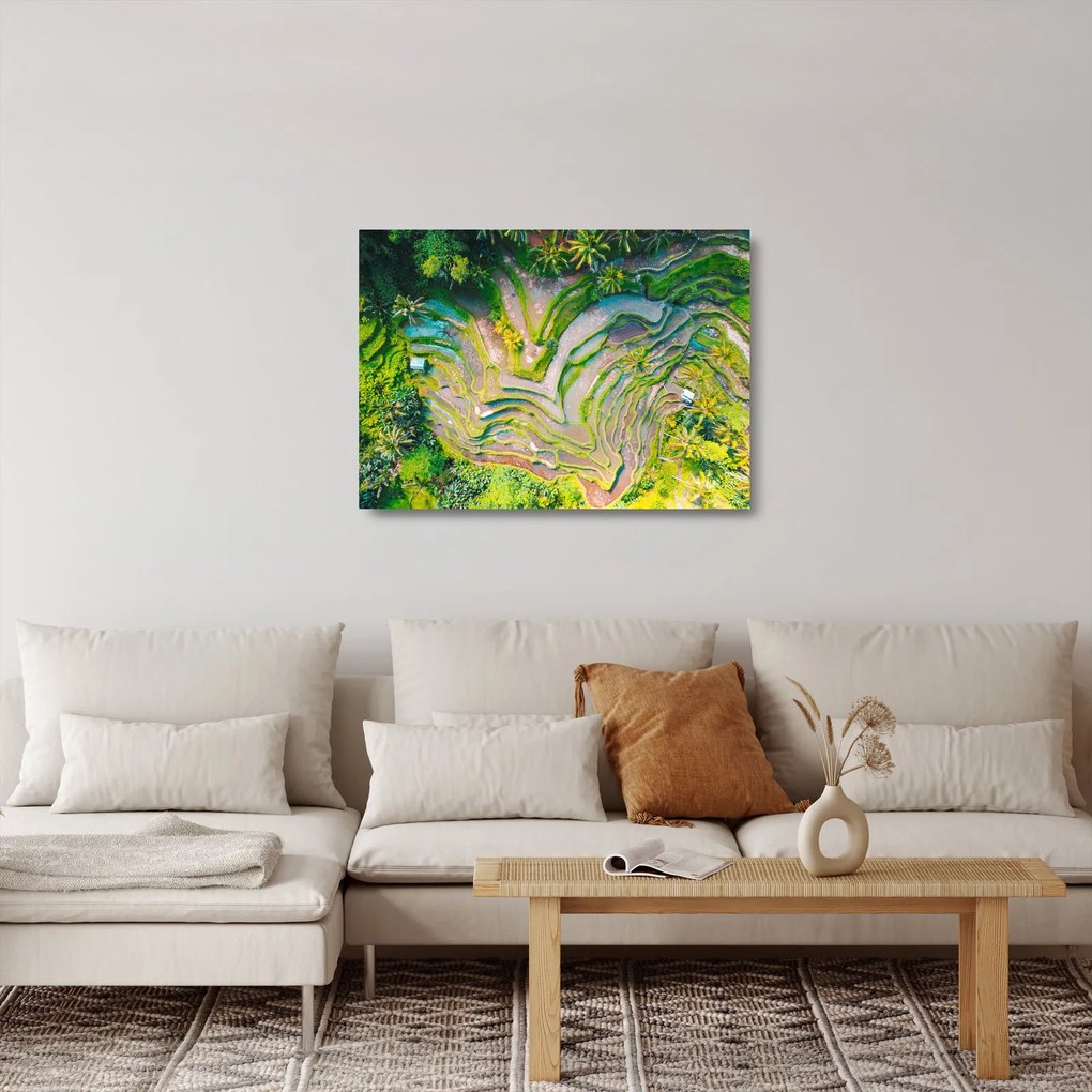 Tablou pe sticlă cu lanuri de orez din privire de sus (70x50 cm)
