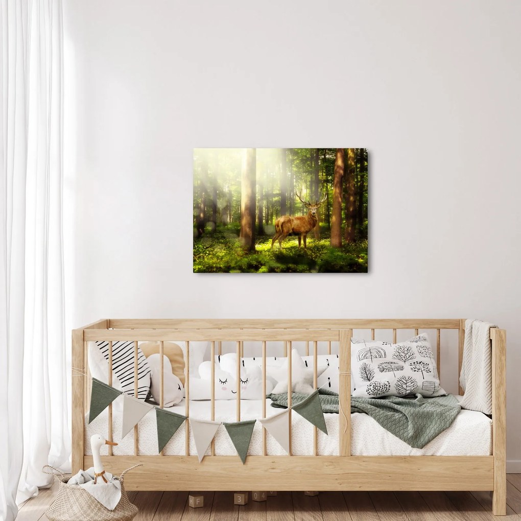 Tablou cu cerbul în pădure (70x50 cm)