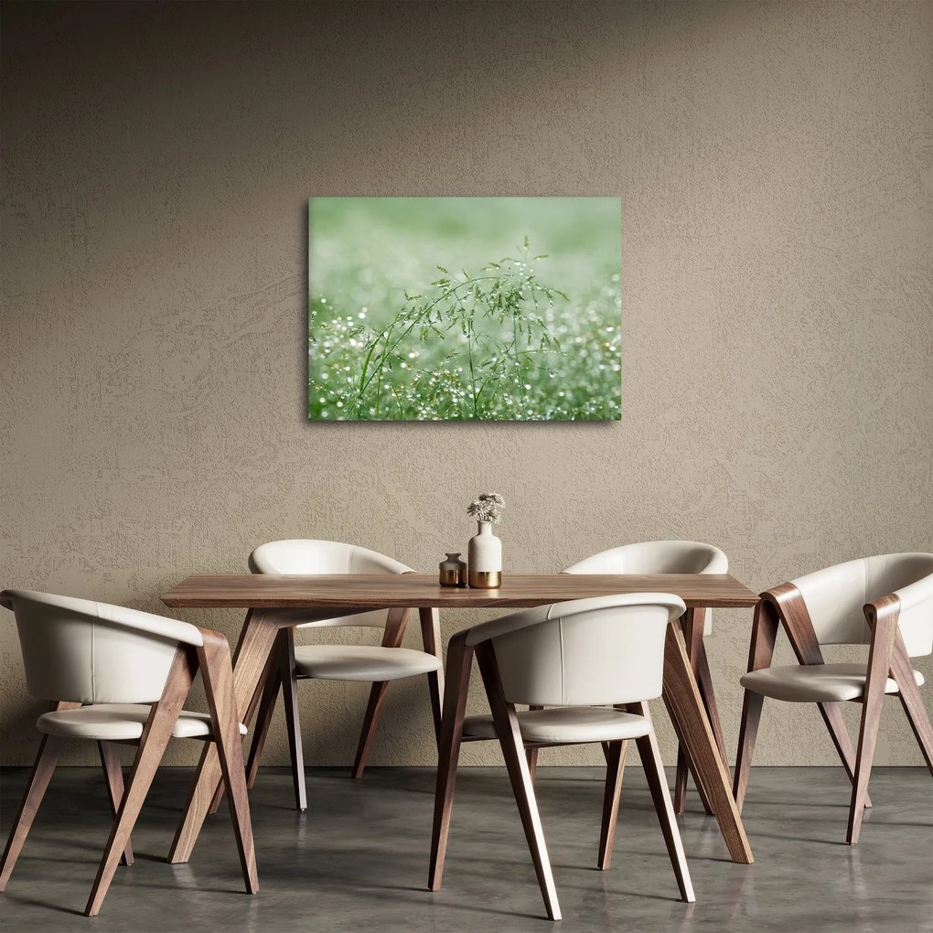 Tablou - Trandafir în iarbâ (70x50 cm)