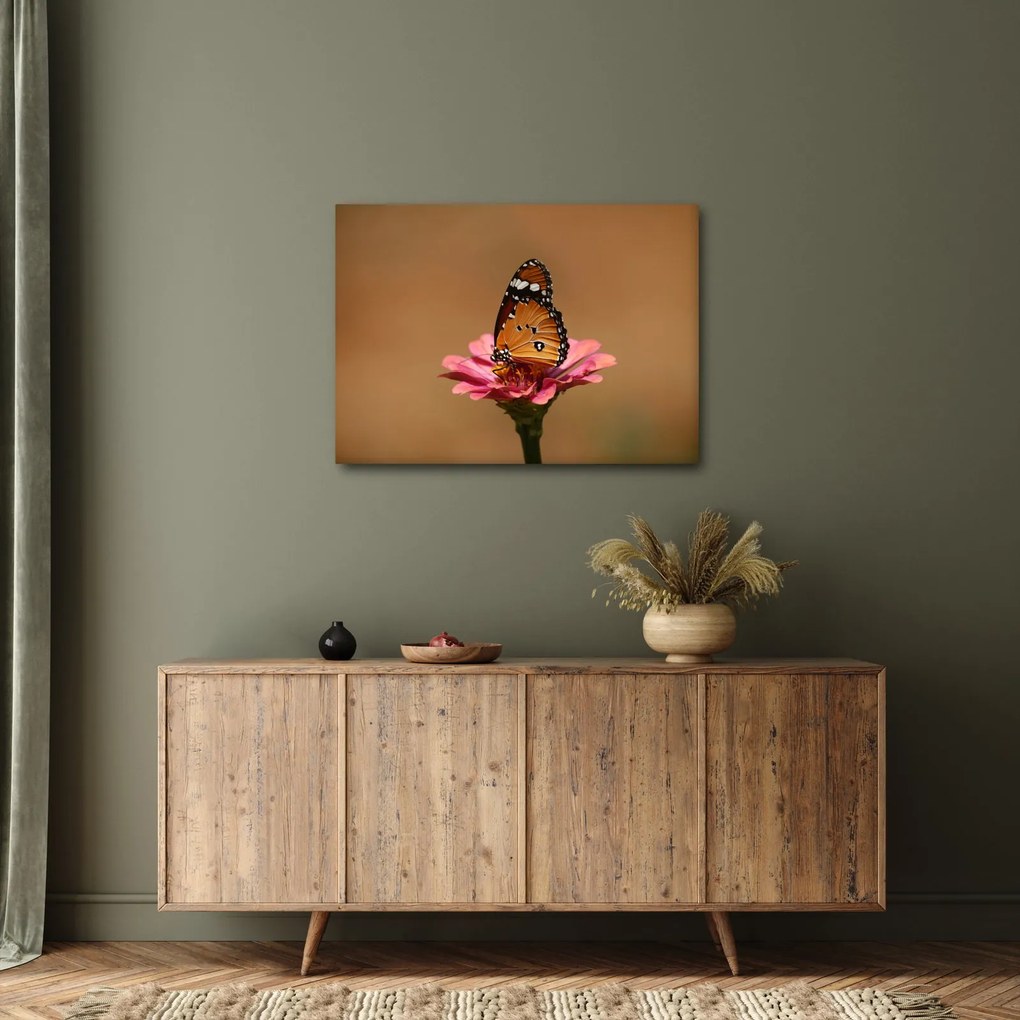 Tablou cu fluture pe floare (70x50 cm)