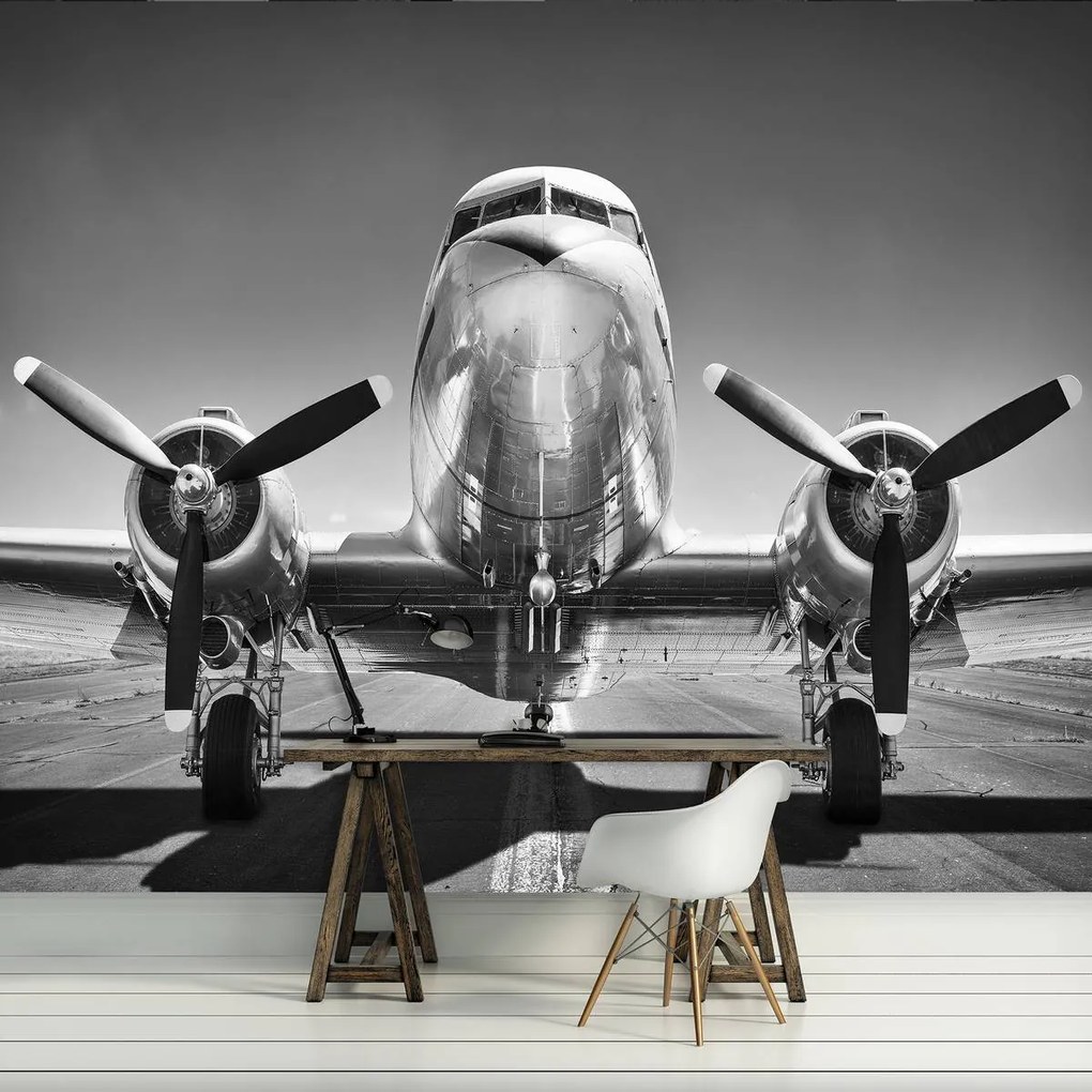 Fototapet - Avion (254x184 cm)