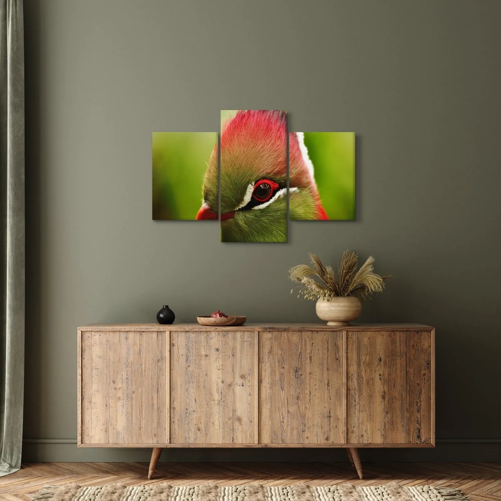 Tablou cu pasărea colorată (90x60 cm)