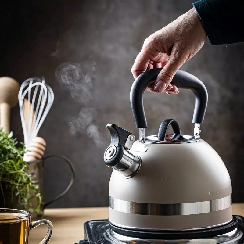 Ceainic cu fluier Kinghoff KH 1854, 1.8 l, Inductie, Maner termoizolant, Bej