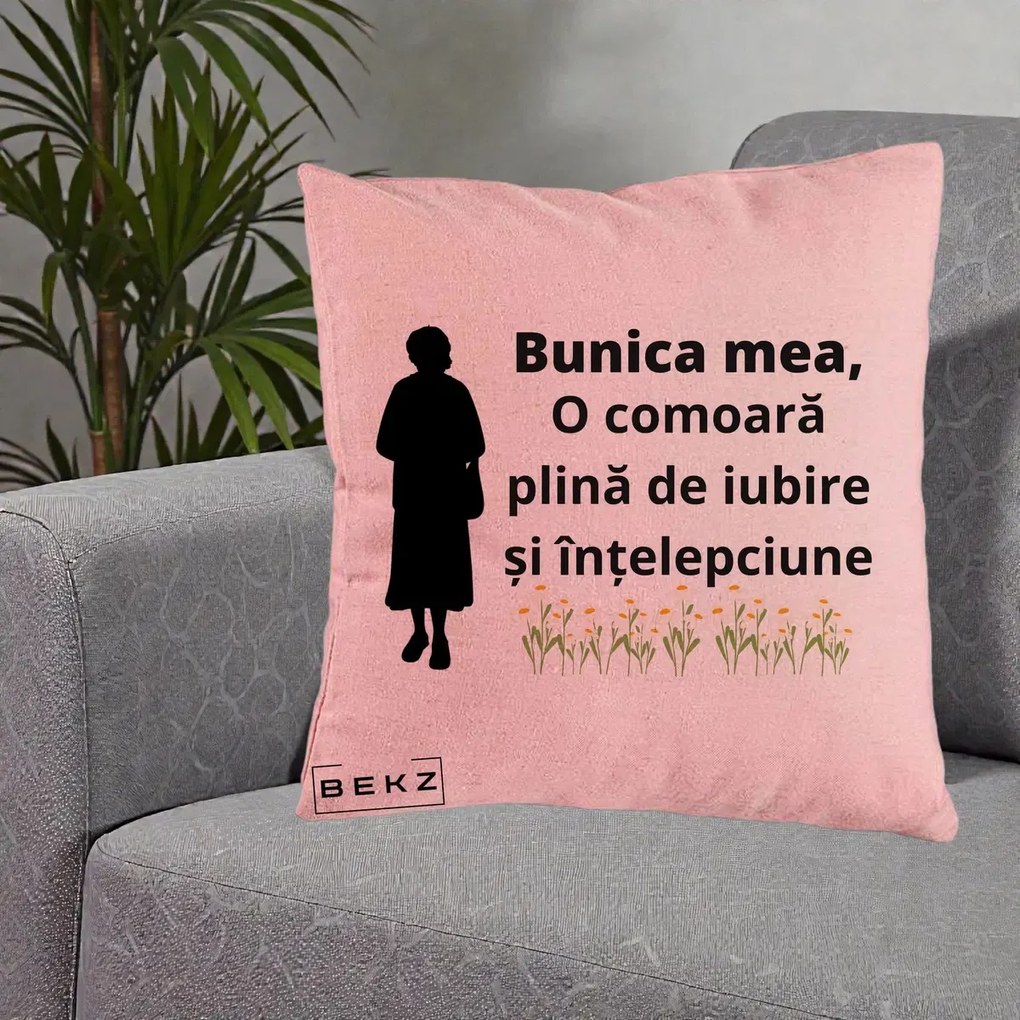 Cadou pentru Bunica - Perna Personalizata Bunica Mea Comoara Iubire Intelepciune Silueta cu Nepoata, 40x40 cm, Roz, Husa Detasabila, Perna Inclusa, BEKZ®