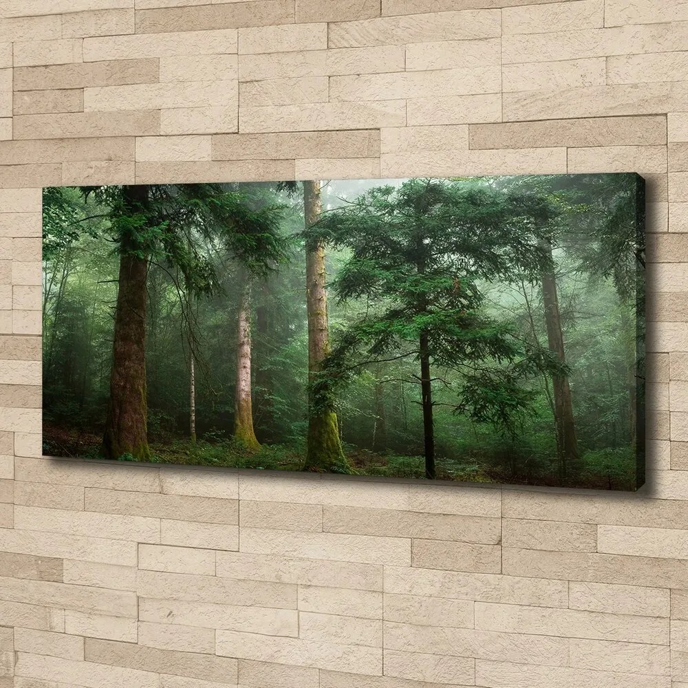 Tablou pe pânză canvas Ceață în pădure