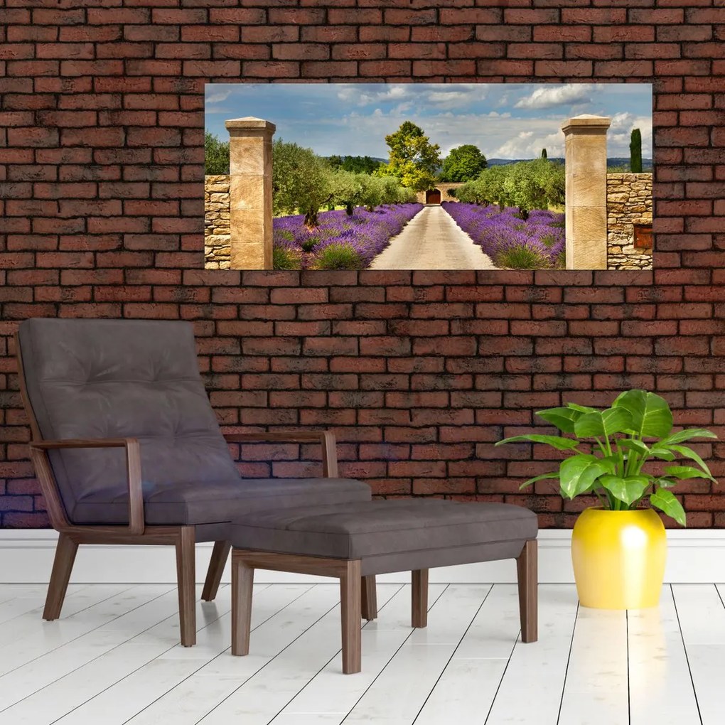 Tablou - Căi de lavandă (120x50 cm)