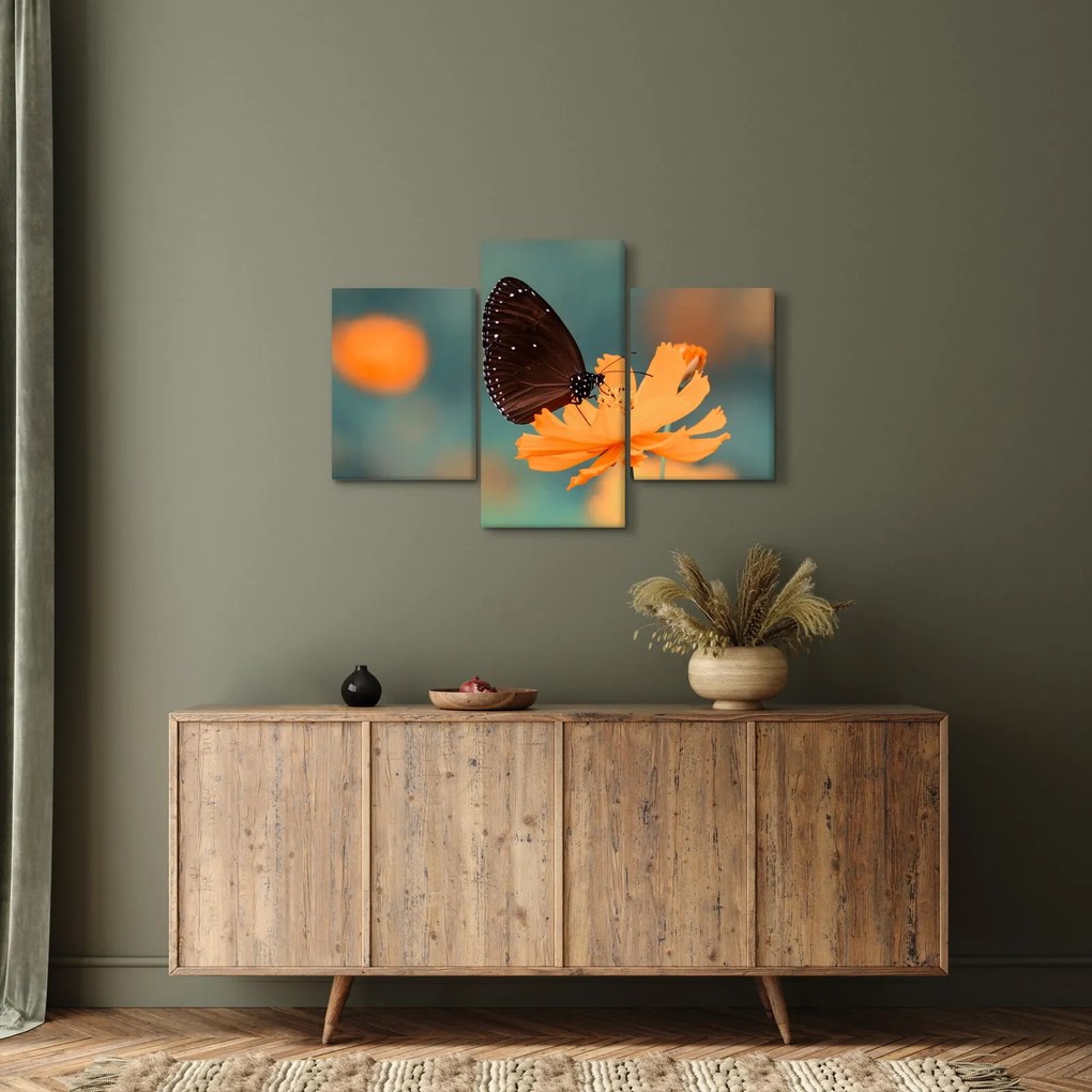 Tablou - fluture pe o floare portocalie (90x60 cm)