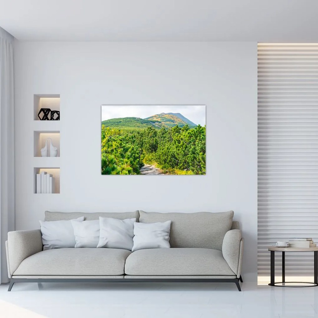 Tablou - Babi Hora, Polonia (90x60 cm)