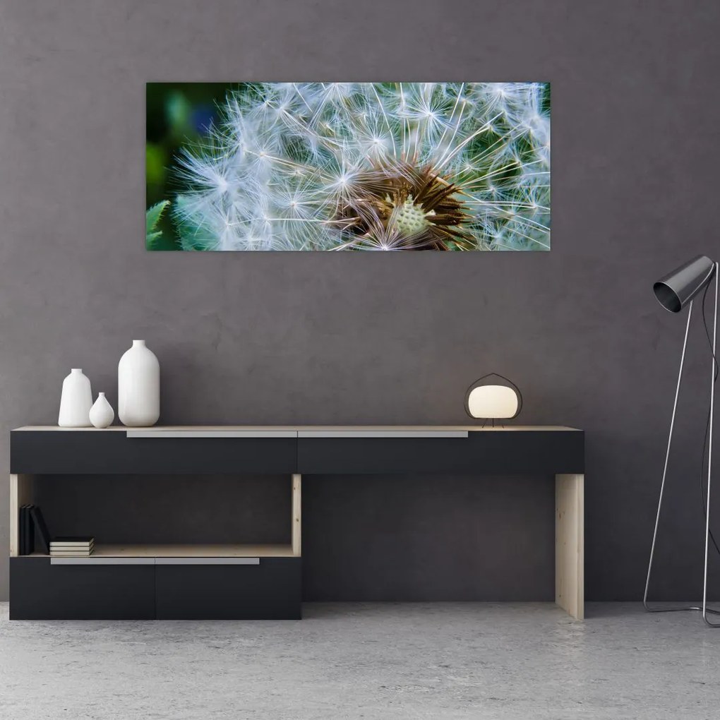 Tabloul cu păpădie desflorit (120x50 cm)