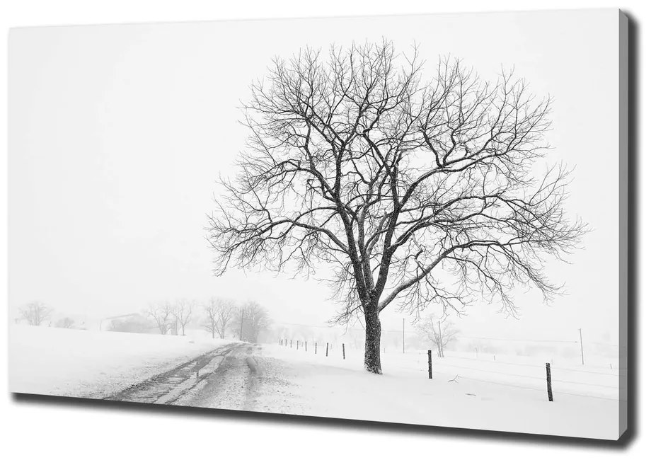 Print pe canvas Copac în timpul iernii