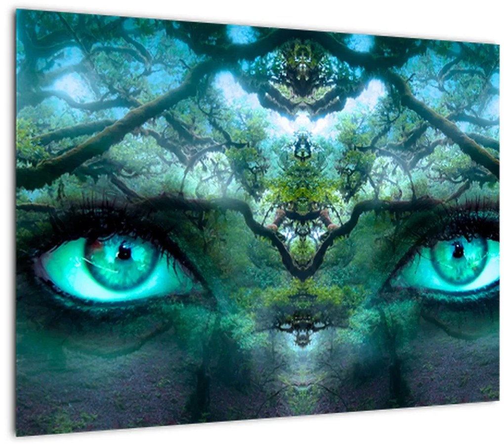 Tablou - Privire (70x50 cm)