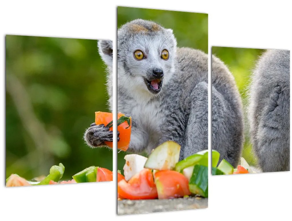 Tablou cu lemur (90x60 cm)