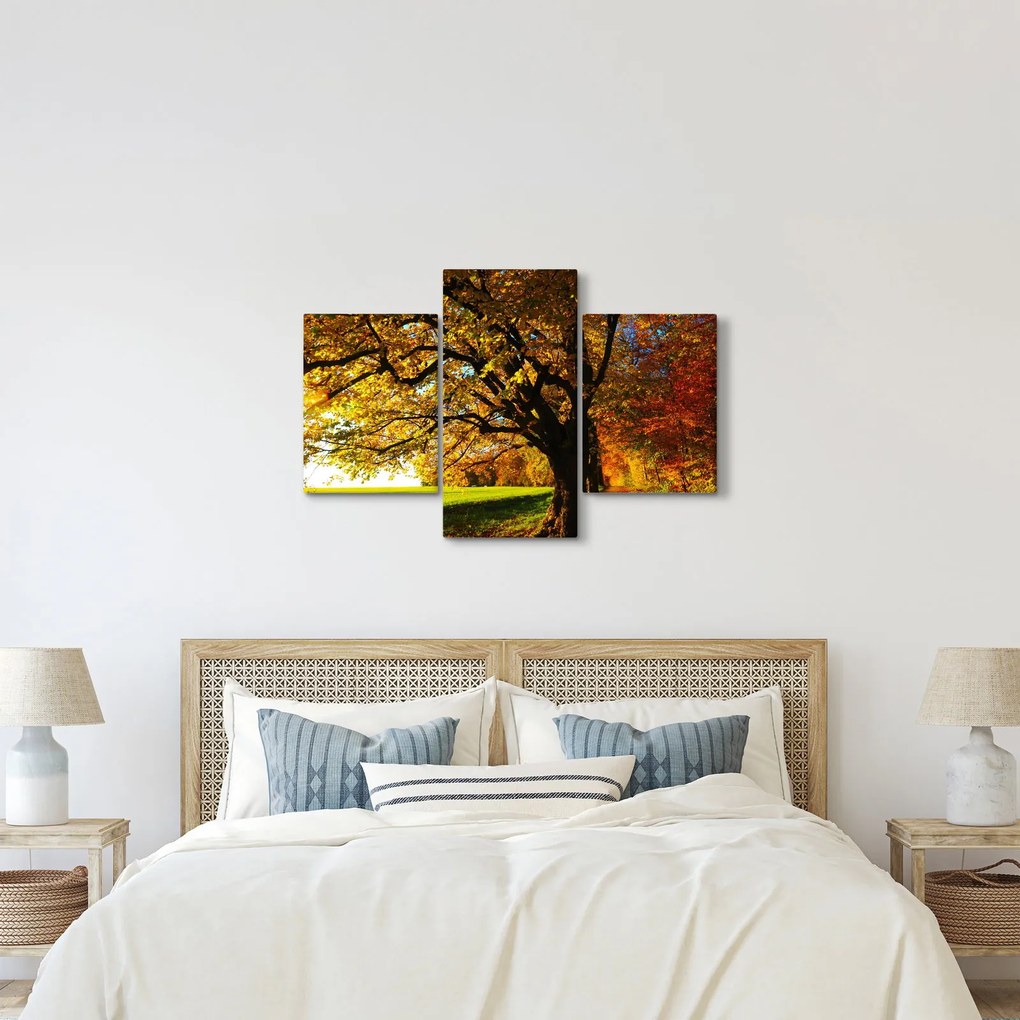 Tablou cu toamna (90x60 cm)