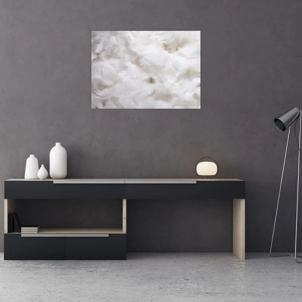 Tablou - Pene albe (70x50 cm)